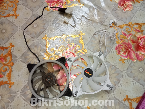 Rgb Fan